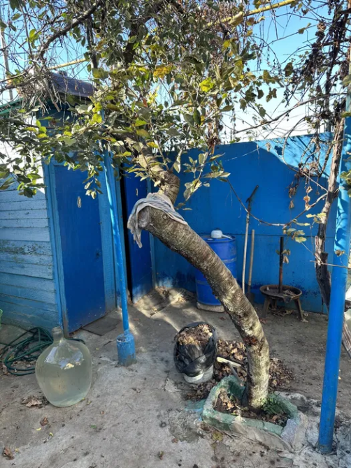 Дом-дача в Черноморке Одеса - фото 5