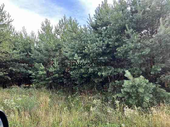 Продаж земельної ділянки 25 соток на Солнечная ул. 