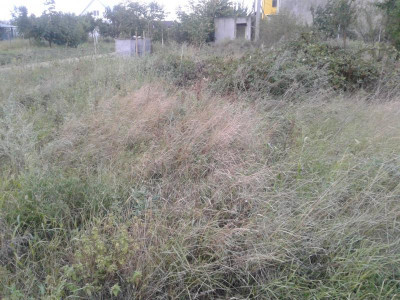 Продаж земельної ділянки 0.1 соток на ул. Шахтарська, 1б Нерубайське - фото 6