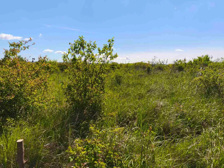 Продаж земельної ділянки Для сільськогосподарської діяльності площа 8 сот Польова Кінчеш - фото 11