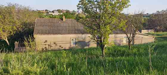 Продается усадьба с.  Большая Балка. Velyka Balka