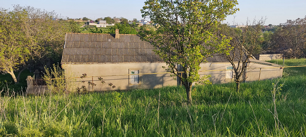 Продается усадьба с.  Большая Балка. Велика Балка - фото 6