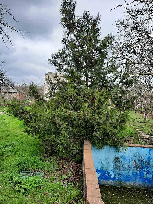 Уютный дом для постоянного проживания в с. Нерубайское! Нерубайське - фото 9