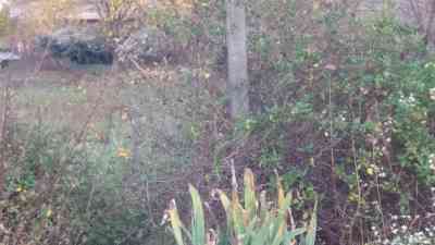 Продаж земельної ділянки 0.1 соток на ул. Садовая, 42 Limanka