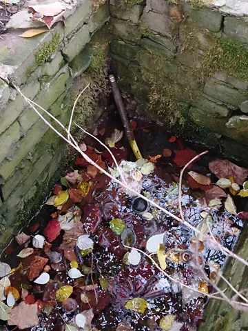 Продажа земельного участка  площадь 6 сот Зелена вулиця 1  - изображение 4