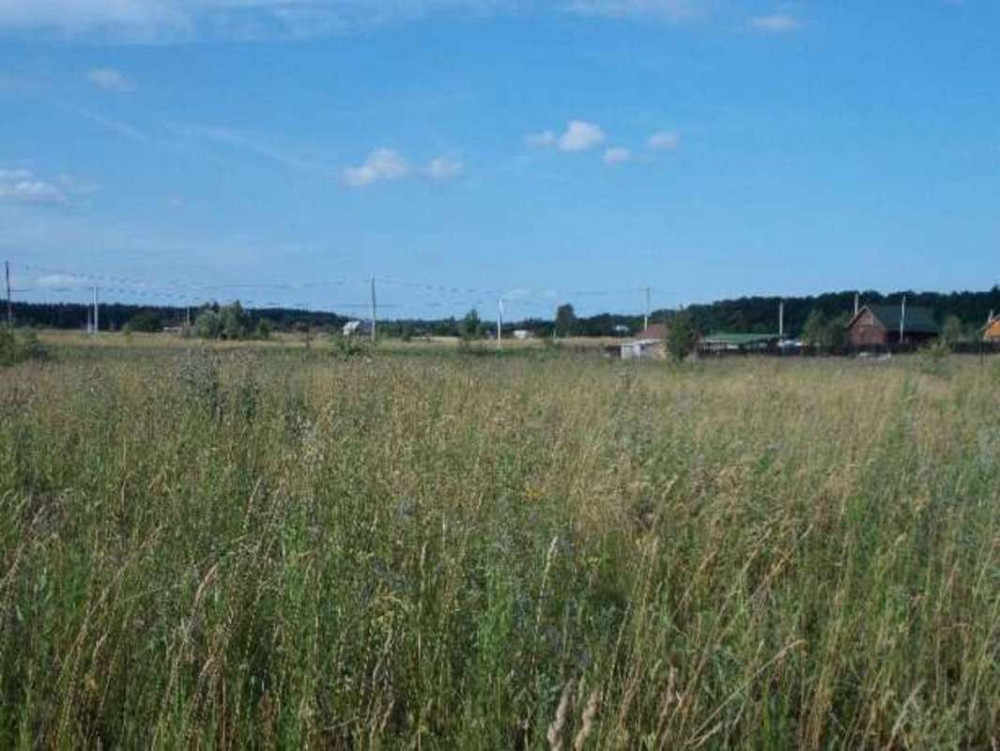 Продаж земельної ділянки 25 соток на Лесная Бориспіль - фото 2