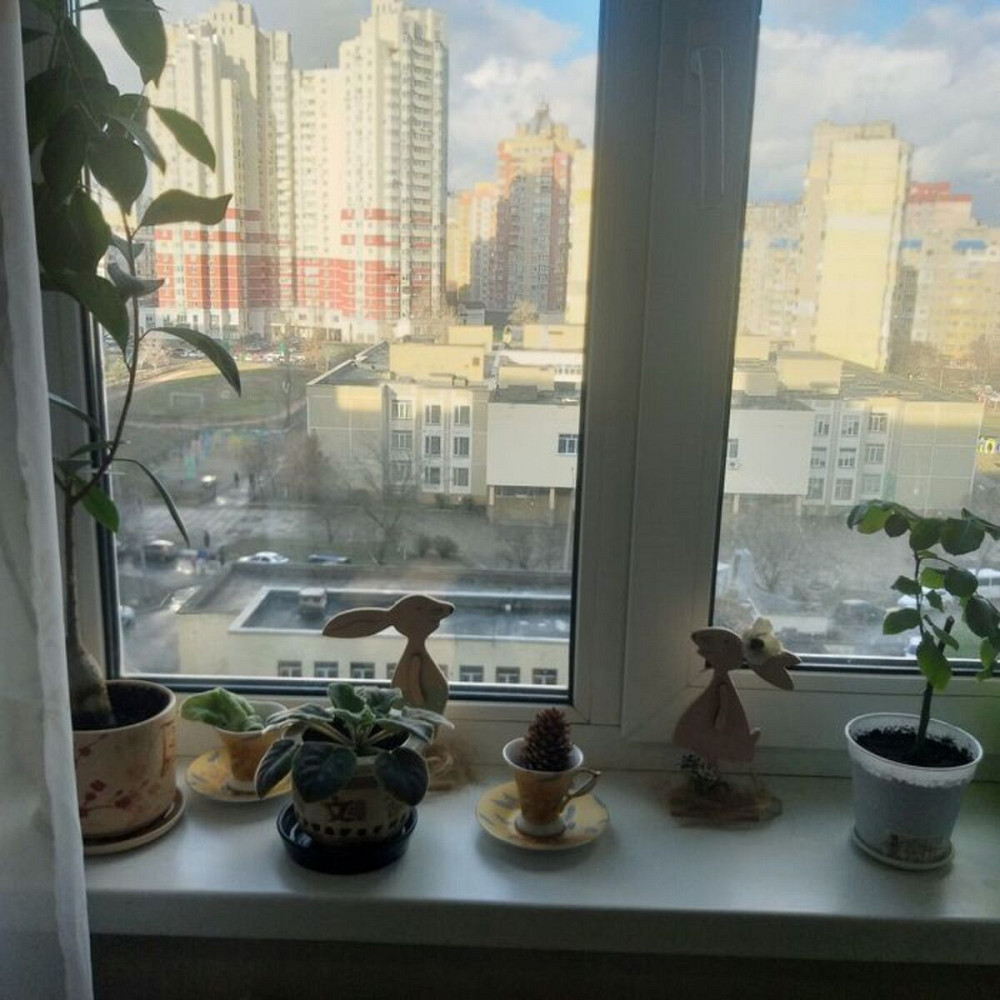 Продаж Квартира 3-кімнатна, 8/16 поверх на Срібнокільська, 8 Київ - фото 9