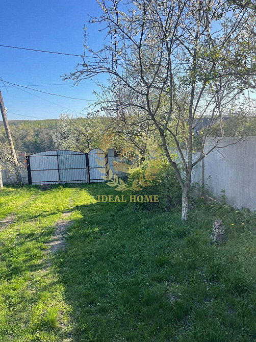 Продам будинку 3 кімнати в Чернині Чернин - фото 5