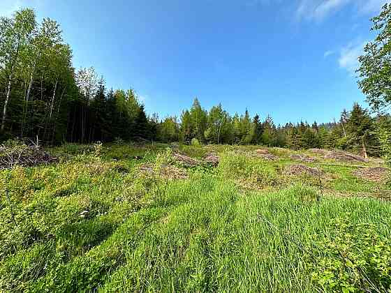 Продаж Квартира на улица Під Митою 21 Орявчик