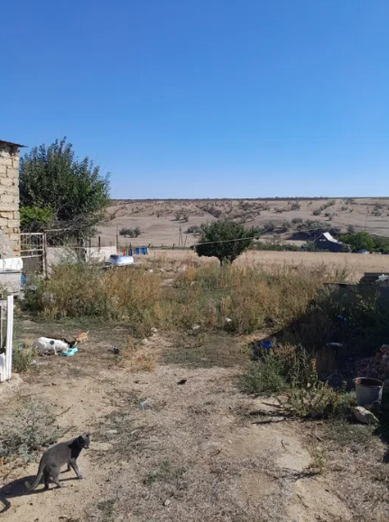 Продам дом в с.Кубанка (Лиманский р-н, 15 км от Одессы) Кубанка - фото 11