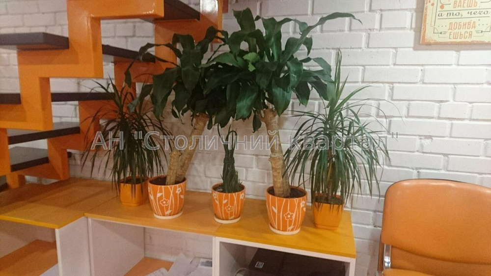 Оренда Будинок 3-кімнатний на Чавдар Єлизавети вул., 13А Київ - фото 19