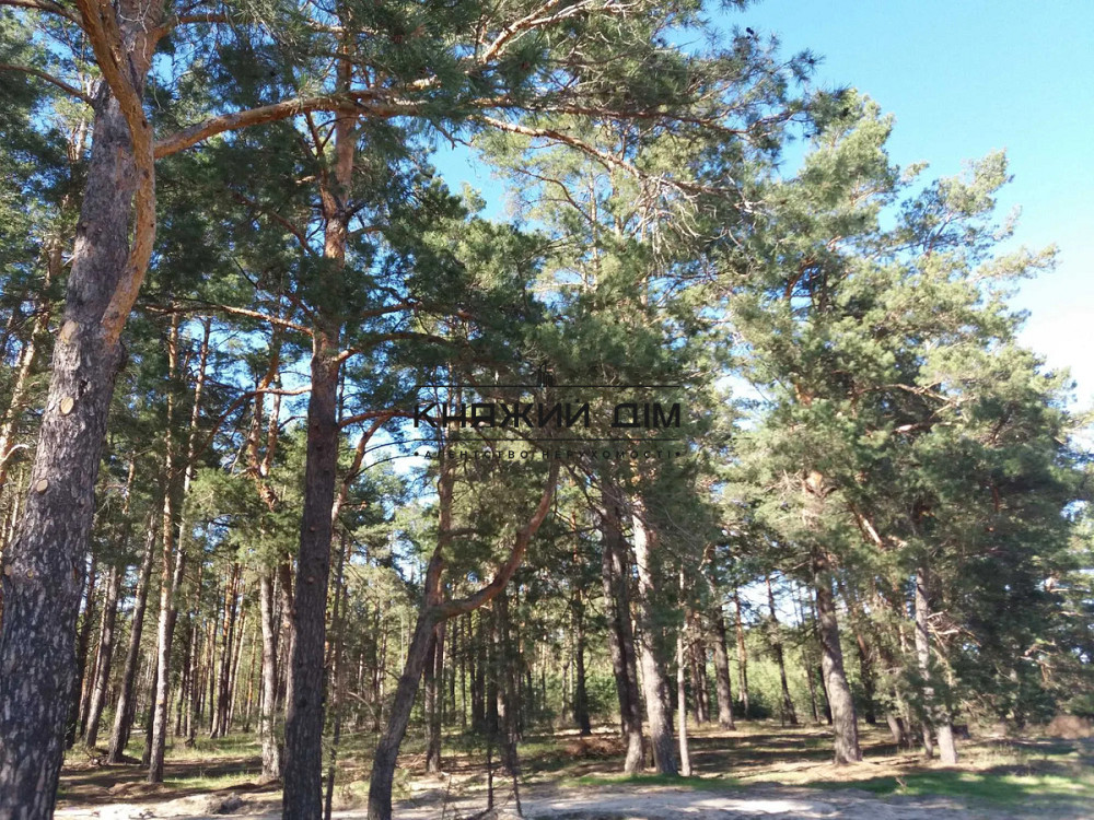 Продаж будинку. с. Хотянівка КОД 2211801 Хотяновка - изображение 7