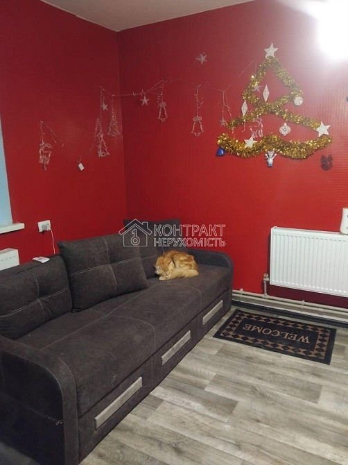 Продаж Будинок 4-кімнатний на вул. центральна Нова Березівка - фото 12