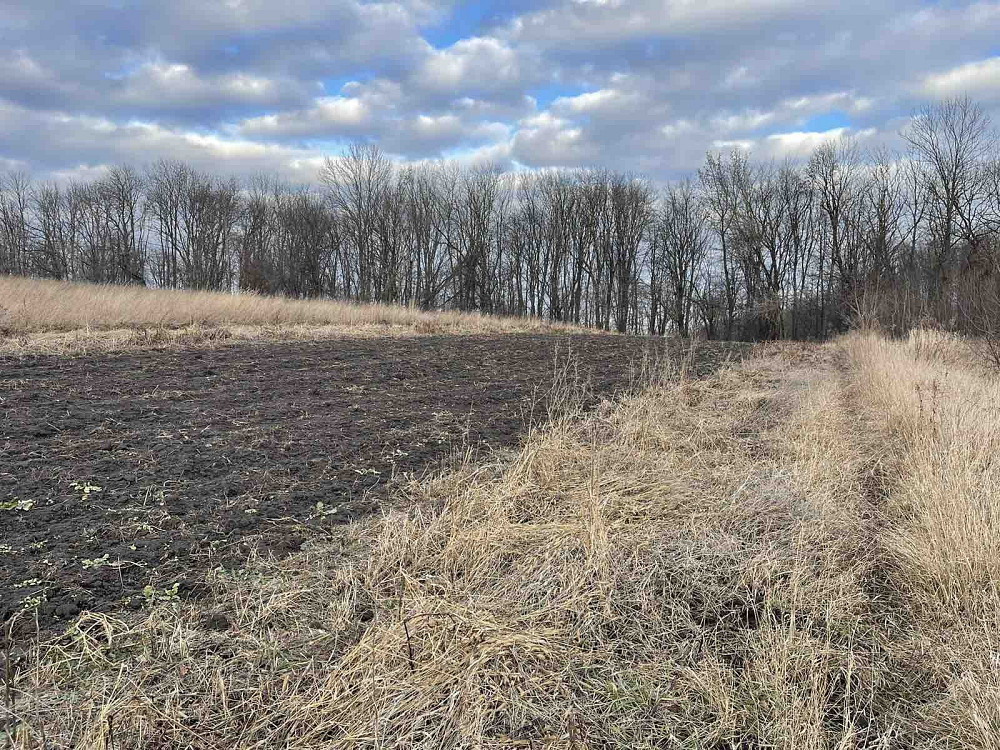 Продаж земельної ділянки 10 соток Подгородное - изображение 10