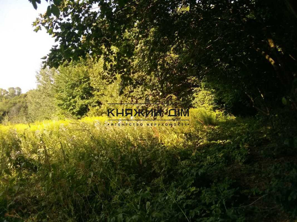 Продаж земельної ділянки 25 соток Mala Vilshanka (Bilotserkivskyi raion) - photo 1