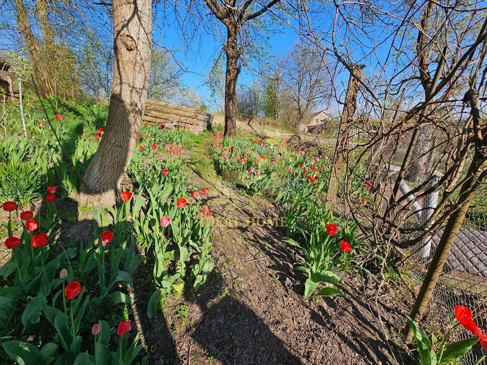 Продам будинок в с. Лубське ( 59 км. Київ)  - фото 10