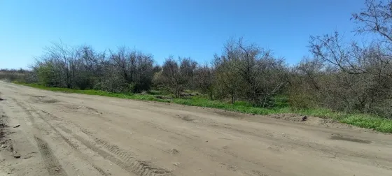 Продаж земельної ділянки Для сільськогосподарської діяльності площа 400 сот JV62+W4, Лиманський район, Одеська область, 67512 Одеса