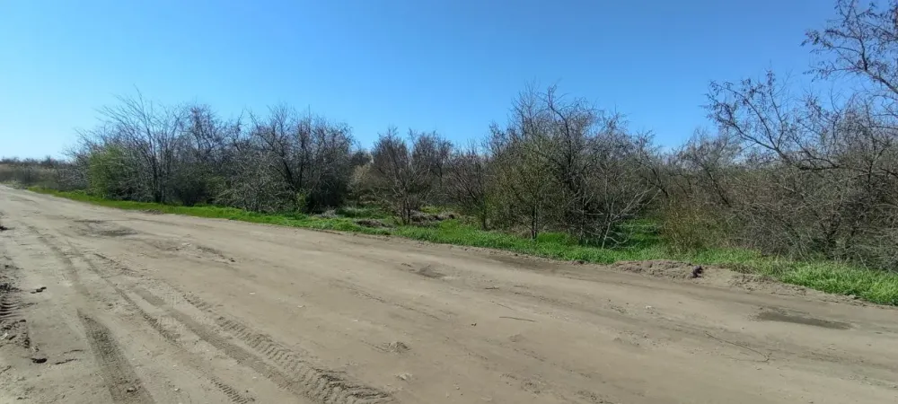 Продаж земельної ділянки Для сільськогосподарської діяльності площа 400 сот JV62+W4, Лиманський район, Одеська область, 67512 Одеса - фото 1