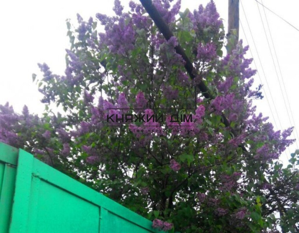 Продаж земельної ділянки 33 соток Kiev - photo 3