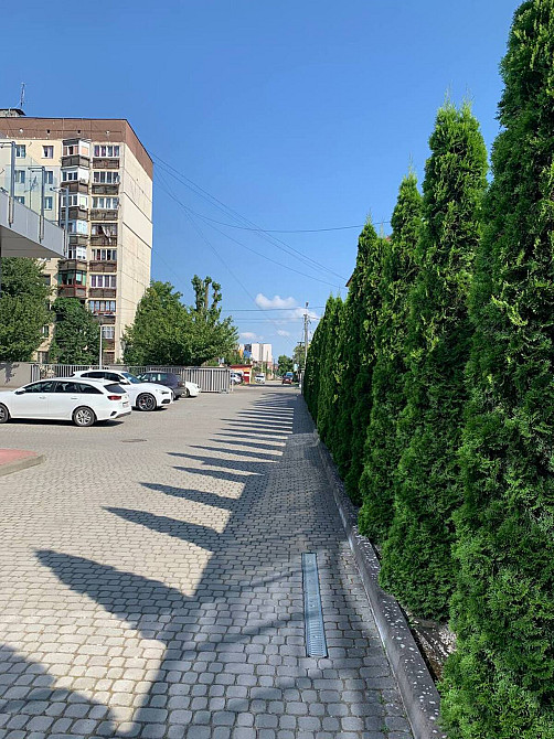 Оренда приміщення вільного призначення на Легоцького поверх - 3/4 Uzhhorod - photo 8