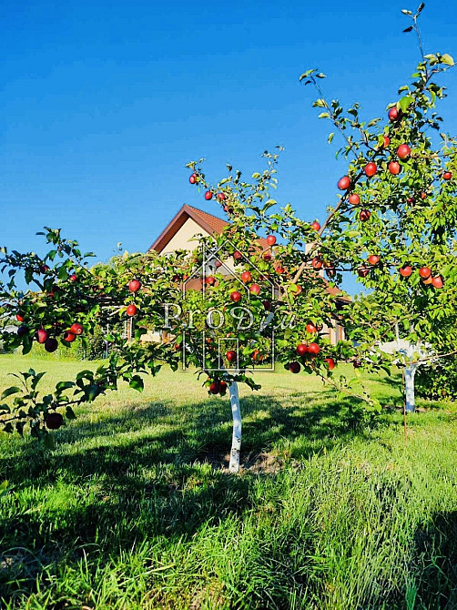 Продаж Будинок 4-кімнатний Осикове - изображение 17