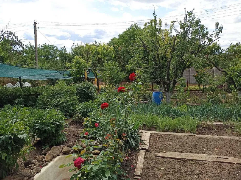 Продам дом-дачу на берегу лимана в Новодофиновском массиве (Лиманский р-н) Нова Дофінівка - фото 14