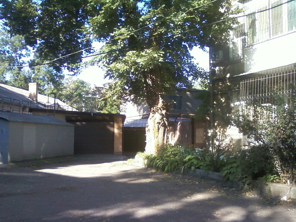 Продаж комерційне приміщення на переулок Банный, 2 приміщень - 5, поверх - 3 Odessa - photo 14