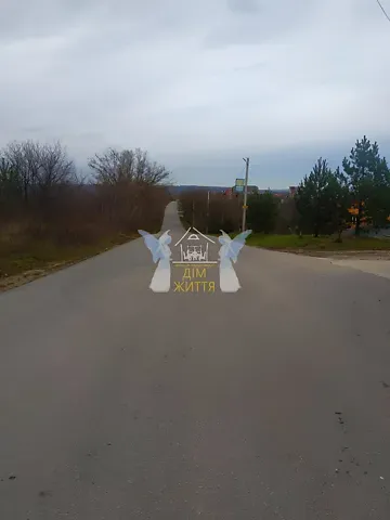 Продажа земельного участка  площадь 43 сот Лісова вулиця 1  - изображение 8