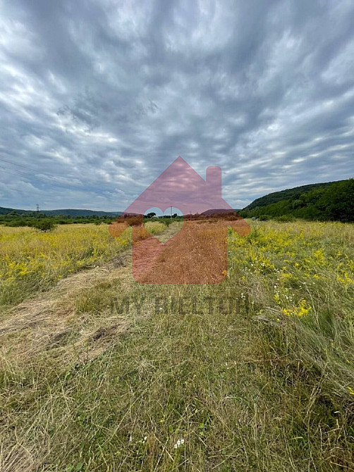 Продаж земельної ділянки 0 соток на Невицьке  - photo 9