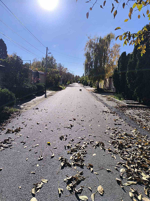 Продается участок с домом с ландшафтным дизайном на Таирова Odessa - photo 14