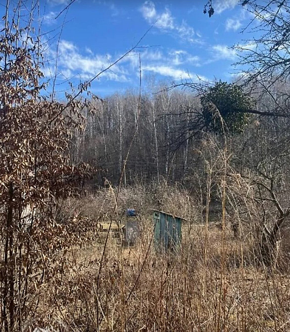 Продаж Будинок Стрижавка - изображение 4