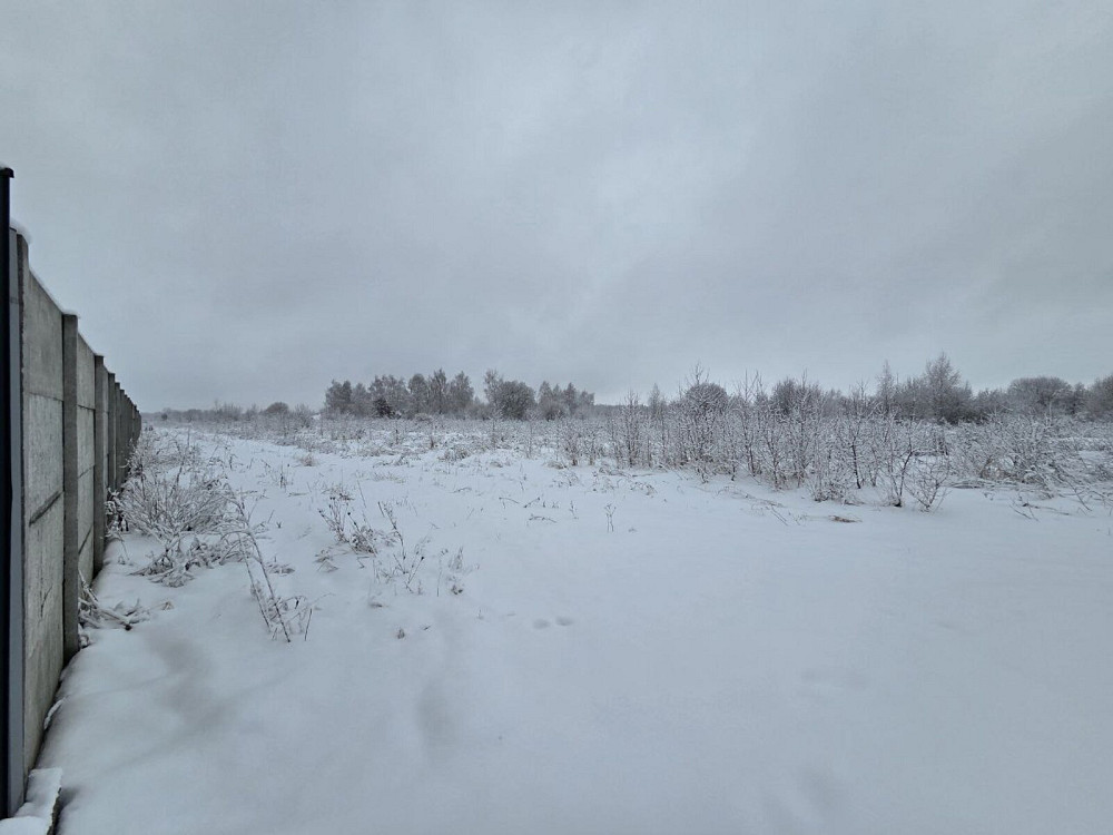 Продаж земельної ділянки 51 соток Крихівці - фото 6