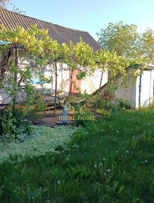 Продам терміново затишний будинок в селі Острійки  - фото 1