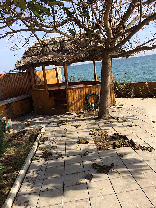 Дом у самого моря! Первая линия, Черноморск Молодіжне - фото 14