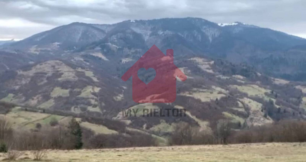 Продаж земельної ділянки 1.33 соток Synevyr - photo 1