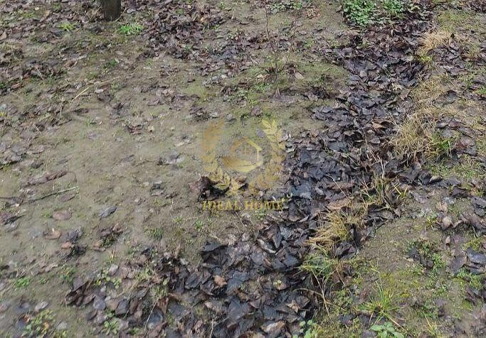 Продаж земельної ділянки 12 соток Кулібаба - фото 1