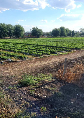 Продаж земельної ділянки 0 соток на ул. Молодіжна, 5 Rozdil'na - photo 8