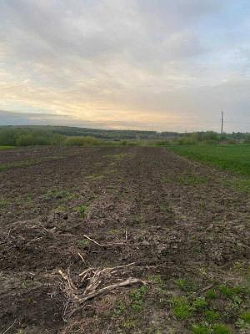 Продаж земельної ділянки 19 соток на вул. ур. Лани Малі Грибовичі - фото 2