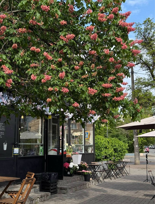 Продаж Квартира 1-кімнатна, 5/5 поверх на Бастіонна вул., д. 10 Kiev - photo 10