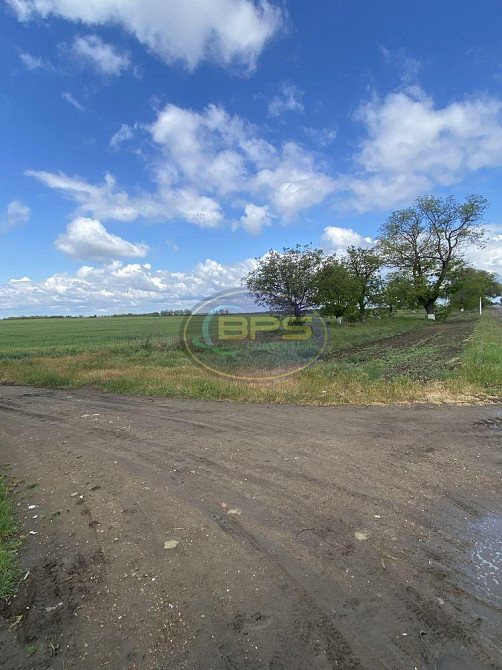 Продаж земельної ділянки 1.83 соток Новотроїцьке (Любашівський район) - фото 3