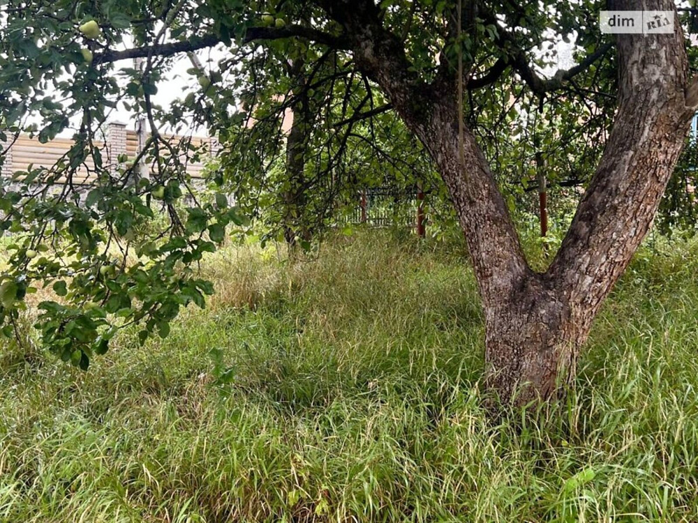 Продаж земельної ділянки 4 соток на пров. Мирний  - фото 4