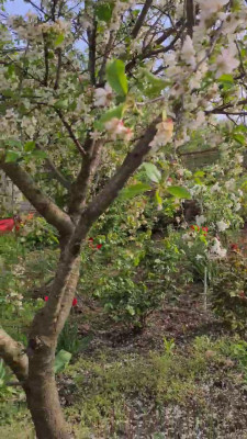 Продаж земельної ділянки 0.1 соток на СК Степное ( ул. 29-я улица), 1685 Красносилка - изображение 20