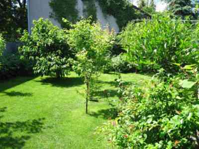 Продаж комерційне приміщення на ул. Успенская, 48 приміщень - 4, поверх - 1 Odessa