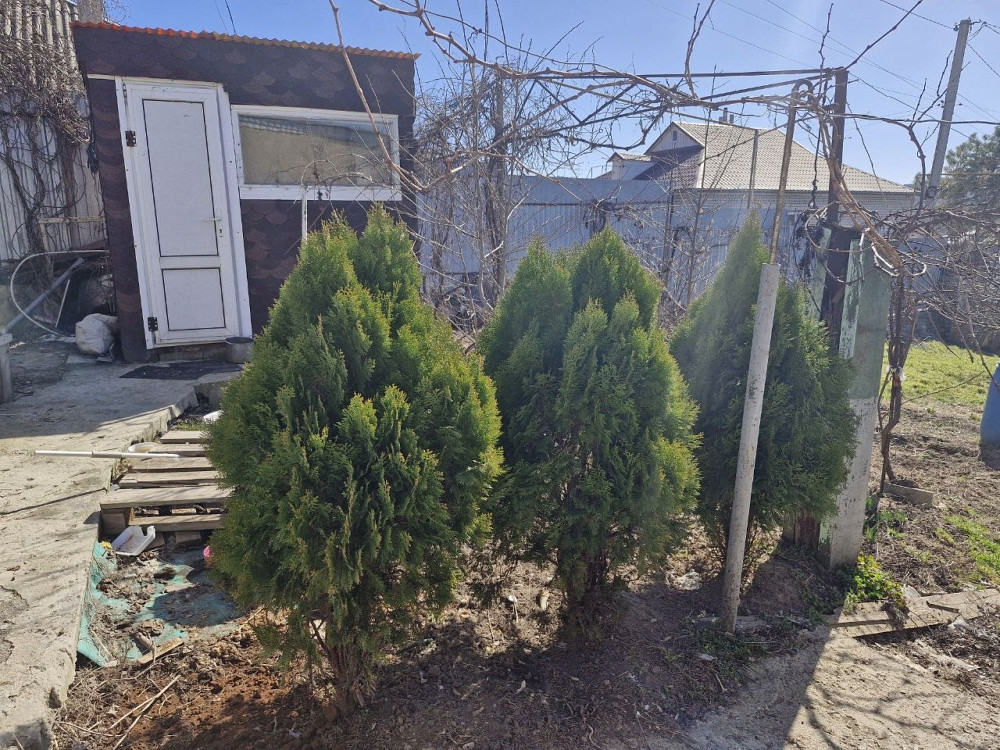 Продаж Будинок 3-кімнатний на переулок Новонерубайский 1-й, 10 Нерубайське - фото 9