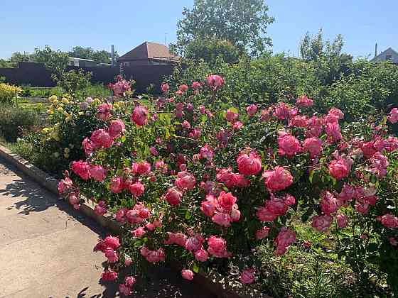 Предлагается к продаже уютный, одноэтажный частный дом в ближайшем пригороде Одессы Velyka Balka