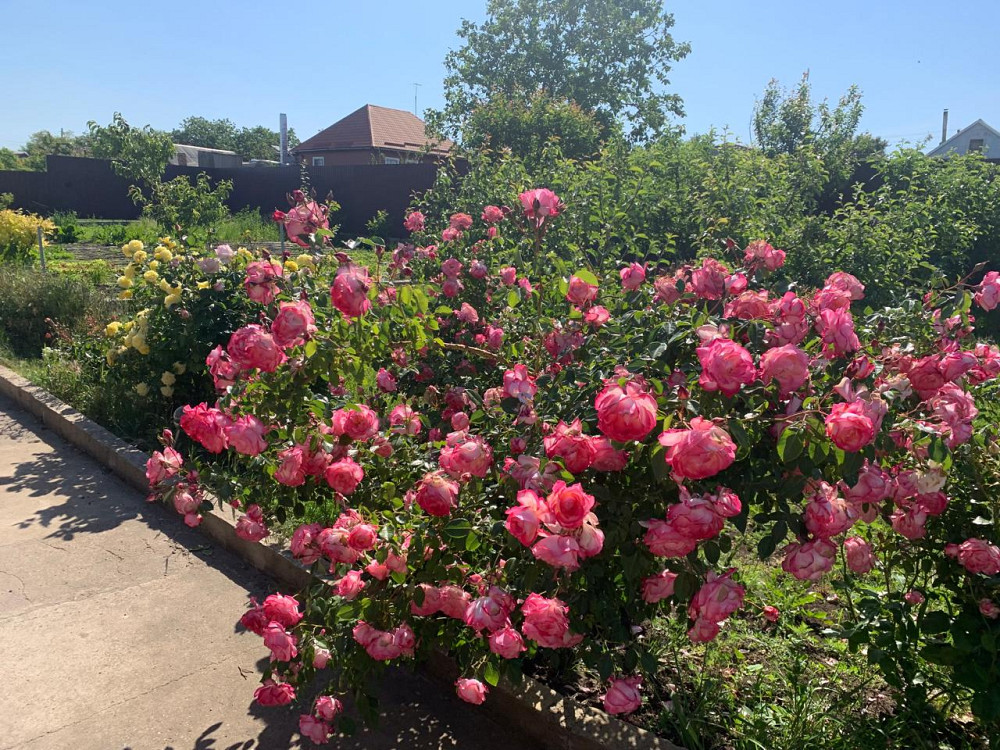 Предлагается к продаже уютный, одноэтажный частный дом в ближайшем пригороде Одессы Велика Балка - фото 2