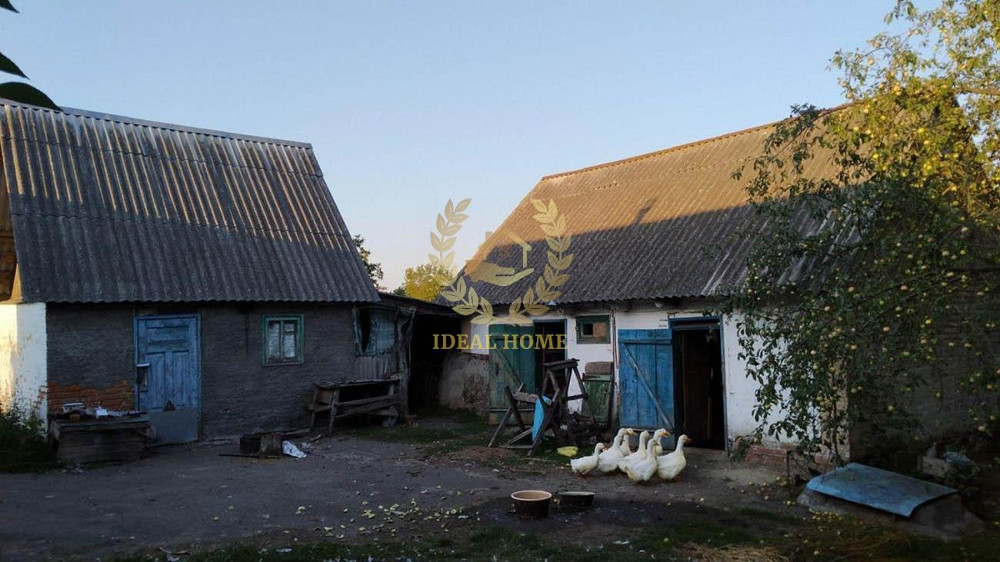 Продам будинок в с. Сорокотягах Сорокотяги - фото 2