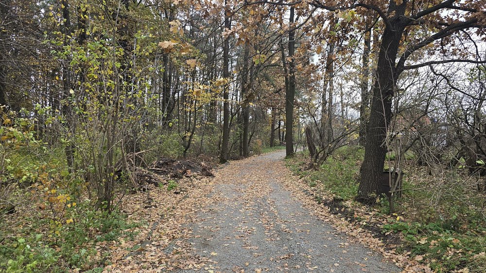 Продаж земельної ділянки 15 соток на Михайла Клименка Ивановка (Баранивський район) - изображение 9