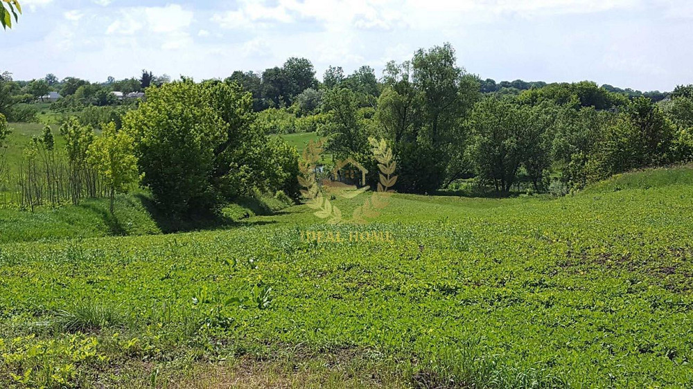 Продам будинок в Бендюгівці Bendiuhivka - photo 10