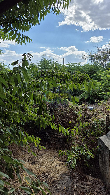 Продаж земельної ділянки 47 соток на вул. Чорноморців Sukhyi Lyman - photo 7